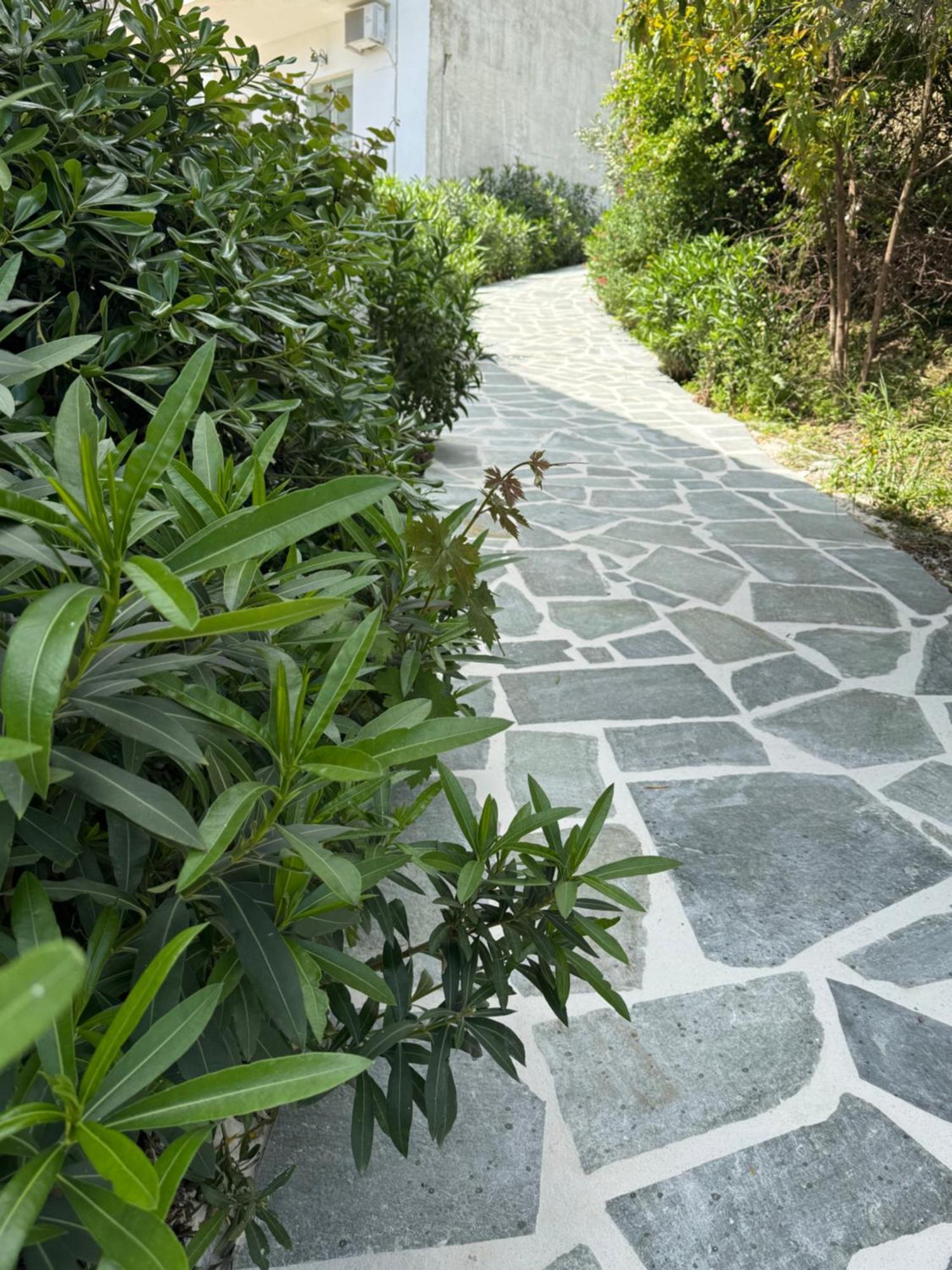 Skiathos Country Studios Dış mekan fotoğraf